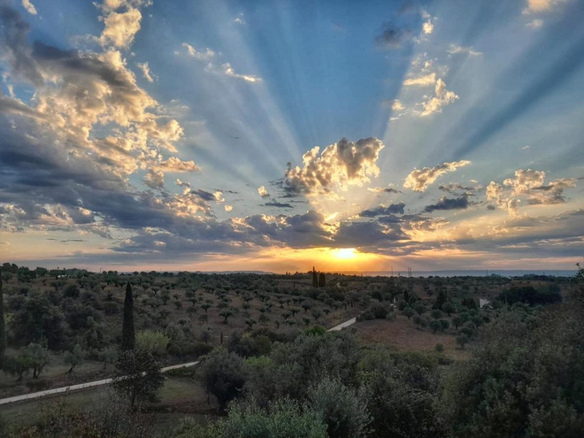 Al Recanto Do Sol Torres Novas Eksteriør billede